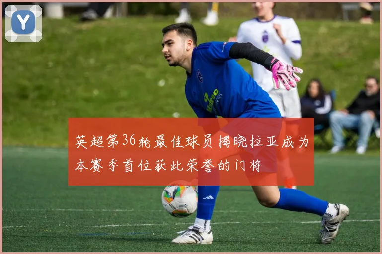 英超第36轮最佳球员揭晓拉亚成为本赛季首位获此荣誉的门将
