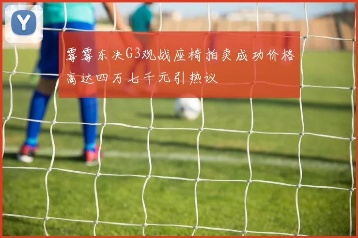 霉霉东决G3观战座椅拍卖成功价格高达四万七千元引热议