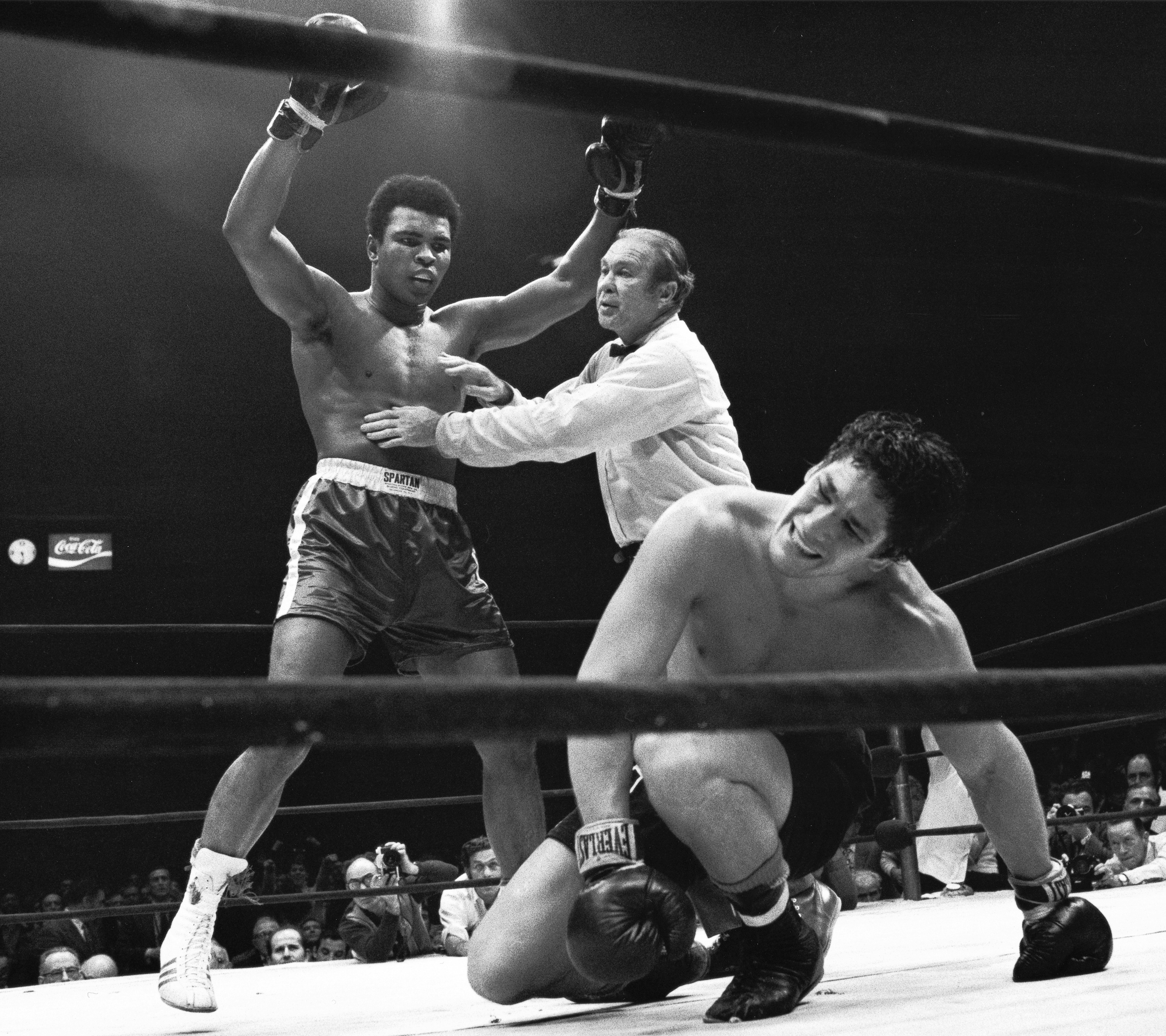 Muhammad Ali gets held back by referee Mark Conn after knocking down Oscar Bonavena during the NABF Heavyweight Title fight at Madison Square Garden.  New York, New York 12/7/1970 (Image # 2074 )